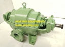 Shinko NSW-80 Vaccum Pump