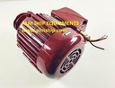 HICO THREE PHASE INDUCTION MOTOR-TE (BLOWER MOTOR)
