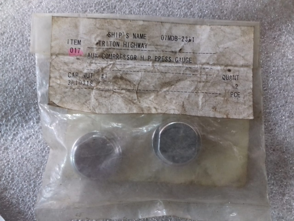 AUX. COMPRESSOR H.P PRESS GAUGE NUT