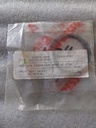 VALVE SEAT GASKET