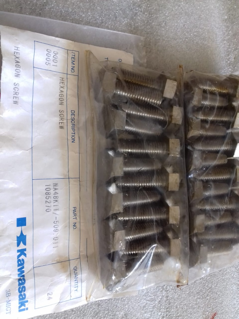 HEXAGON SCREW